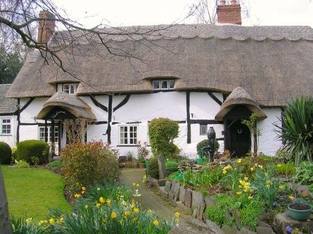 Pestilence Cottage - Sunday 6 April 2008