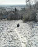 Sledging