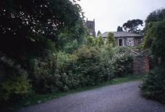 T03a Trees once again block the view