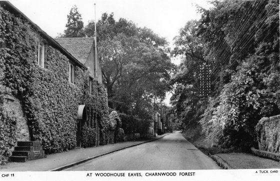 T30  The Chace, Brand Hill