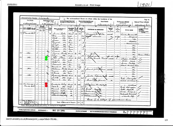 CC 28   St. Paul's Church - 1901 census form 